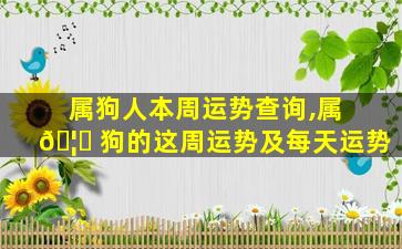 属狗人本周运势查询,属 🦉 狗的这周运势及每天运势